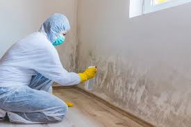 Best Real Estate Mold Inspection  in Landisville, PA